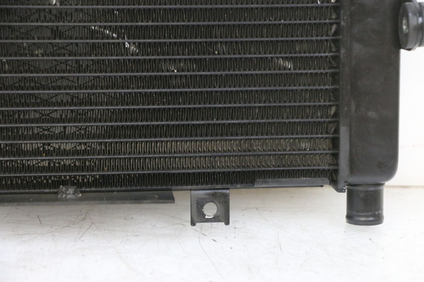 photo de RADIATOR YAMAHA TDM ABS 900 (2002 - 2014)