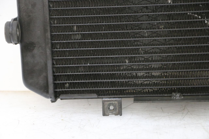 photo de RADIATOR YAMAHA TDM ABS 900 (2002 - 2014)