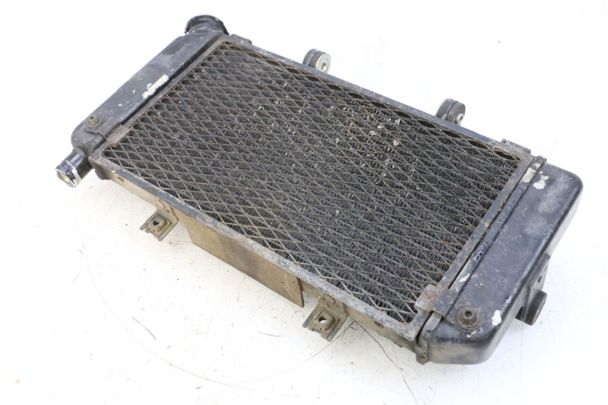 photo de COOLANT RADIATOR YAMAHA TDM ABS 900 (2002 - 2014) - Zoom on usage condition