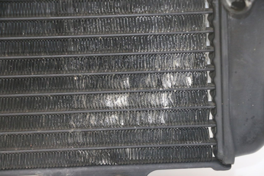 photo de RADIATOR YAMAHA TDR DELTABOX 125 (1993 - 2003)