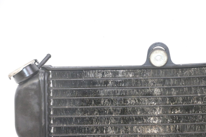 photo de RADIATOR YAMAHA TDR DELTABOX 125 (1993 - 2003)