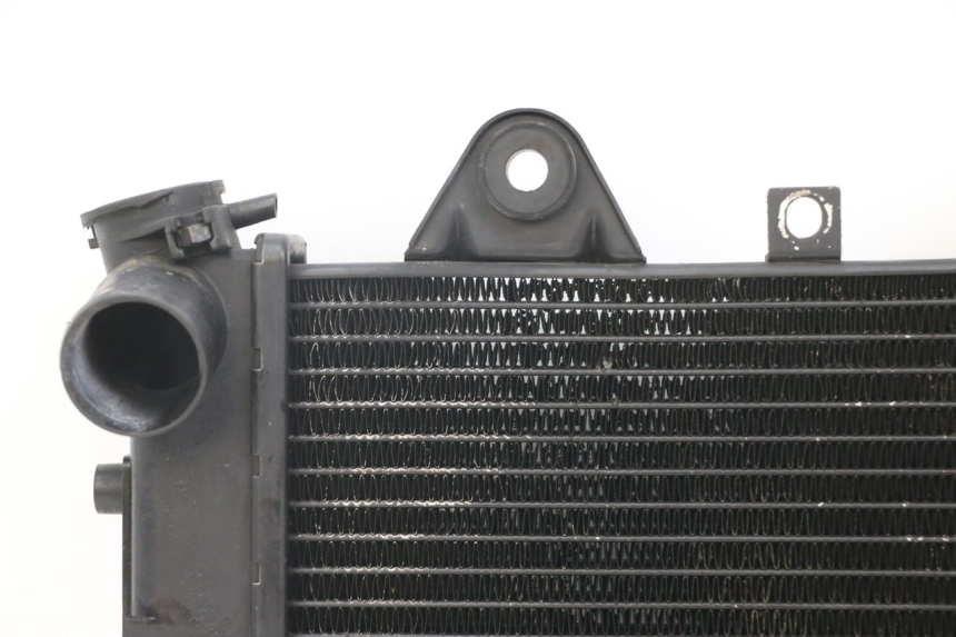 photo de RADIATOR TRIUMPH SPEED TRIPLE T301 900 (1994 - 1996)