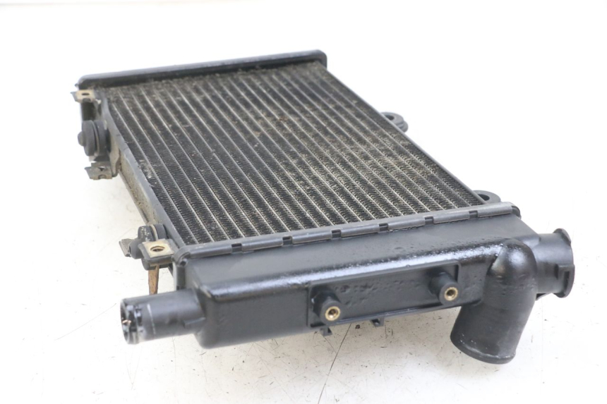 photo de RADIATOR TRIUMPH SPEED TRIPLE T301 900 (1994 - 1996)