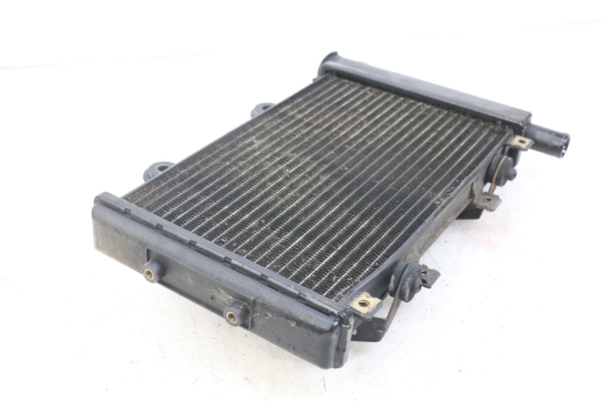 photo de RADIATOR TRIUMPH SPEED TRIPLE T301 900 (1994 - 1996)