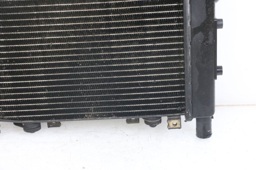 photo de RADIATOR TRIUMPH SPEED TRIPLE T301 900 (1994 - 1996)