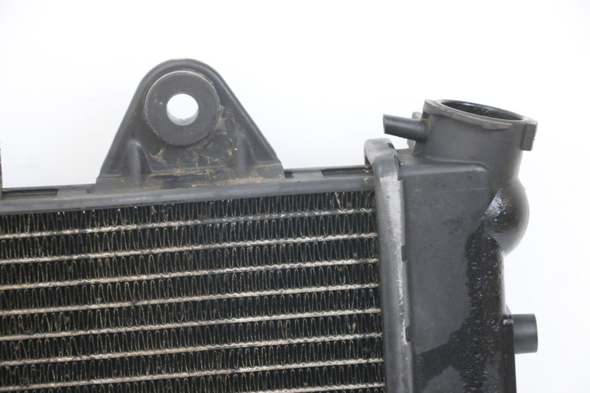 photo de RADIATOR TRIUMPH SPEED TRIPLE T301 900 (1994 - 1996)