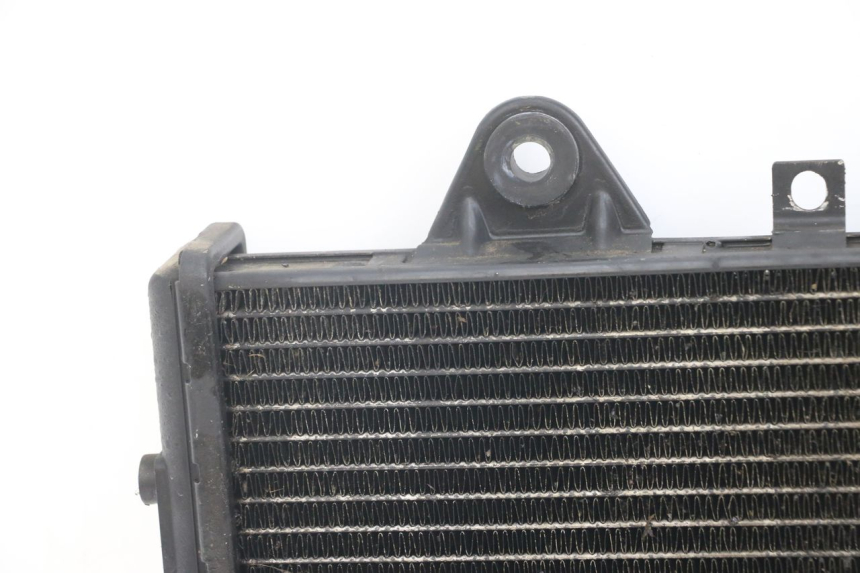 photo de RADIATOR TRIUMPH SPEED TRIPLE T301 900 (1994 - 1996)