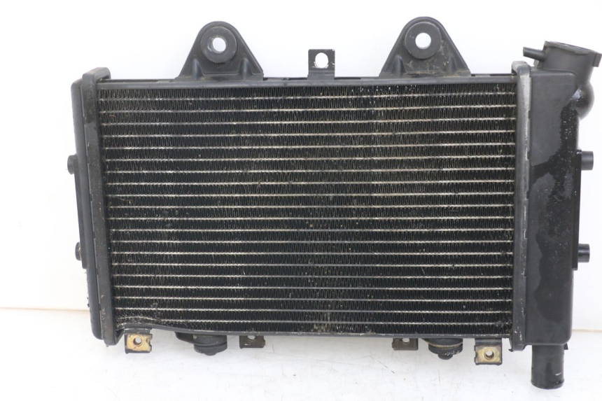 photo de RADIATOR TRIUMPH SPEED TRIPLE T301 900 (1994 - 1996)