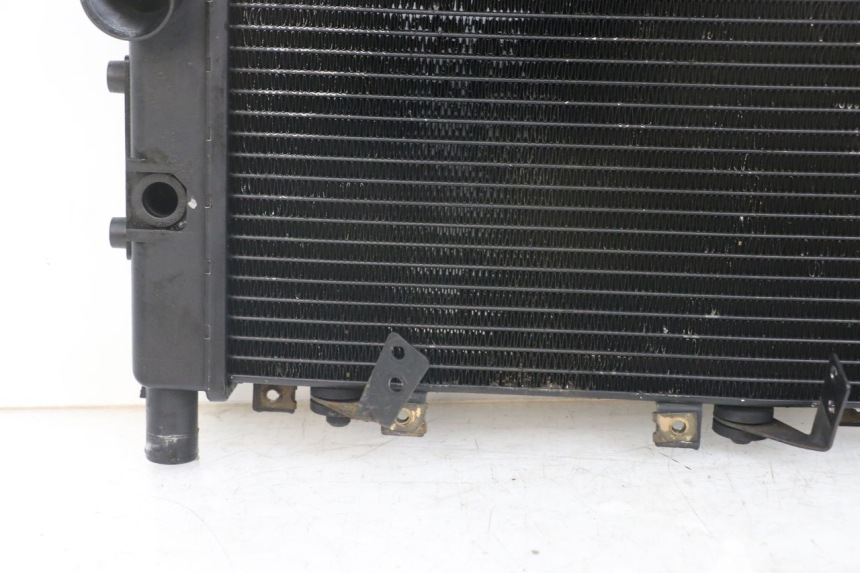 photo de RADIATOR TRIUMPH SPEED TRIPLE T301 900 (1994 - 1996)