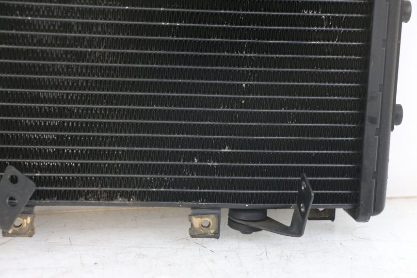 photo de RADIATOR TRIUMPH SPEED TRIPLE T301 900 (1994 - 1996)