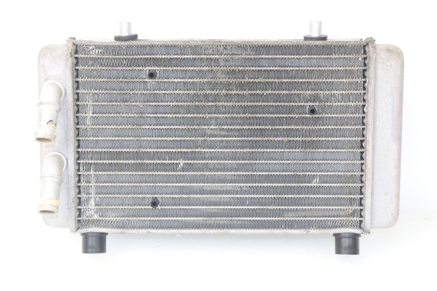 photo de COOLANT RADIATOR YAMAHA XMAX X-MAX ABS 125 (2014 - 2016) - Main view