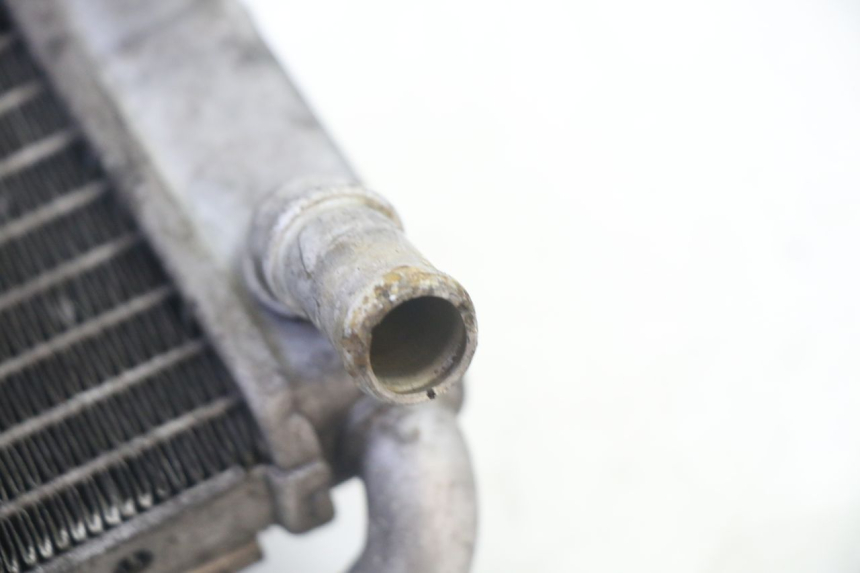 photo de RADIATOR YAMAHA X-MAX XMAX 125 (2010 - 2014)