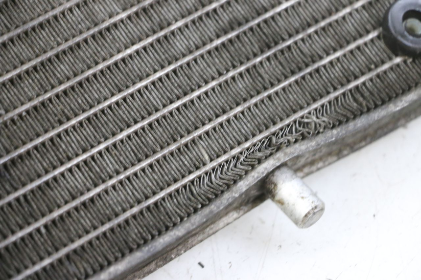 photo de RADIATOR YAMAHA X-MAX XMAX 125 (2010 - 2014)