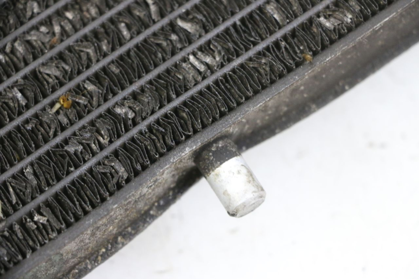 photo de RADIATOR YAMAHA X-MAX XMAX 125 (2010 - 2014)