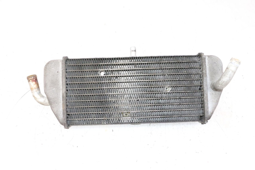 photo de RADIATOR YAMAHA XMAX X-MAX 125 (2006 - 2009) - Main view