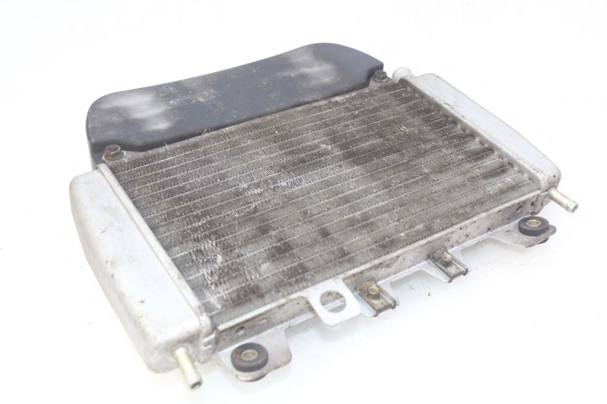 photo de RADIATOR PIAGGIO X9 EVOLUTION 250 (2003 - 2007)
