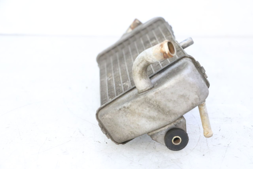 photo de RADIATOR YAMAHA XMAX X-MAX 125 (2006 - 2009)