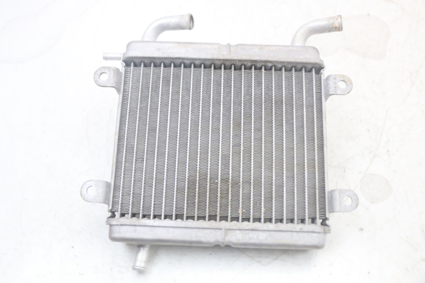 photo de RADIATOR YAMAHA AEROX 2T 50 (2013 - 2017)