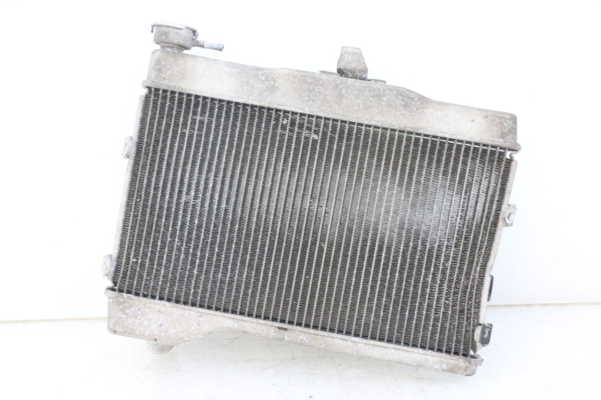 photo de RADIATOR YAMAHA MT-07 MT07 ABS 700 (2014 - 2017)