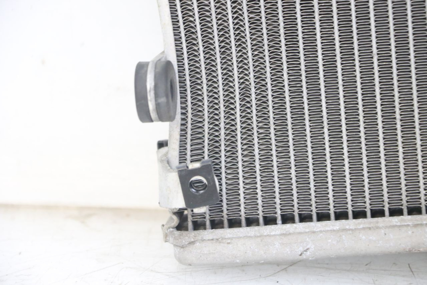 photo de RADIATOR YAMAHA MT-07 MT07 ABS 700 (2014 - 2017)