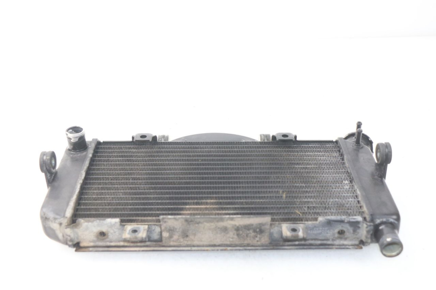 photo de RADIATOR YAMAHA TDM ABS 900 (2002 - 2014)