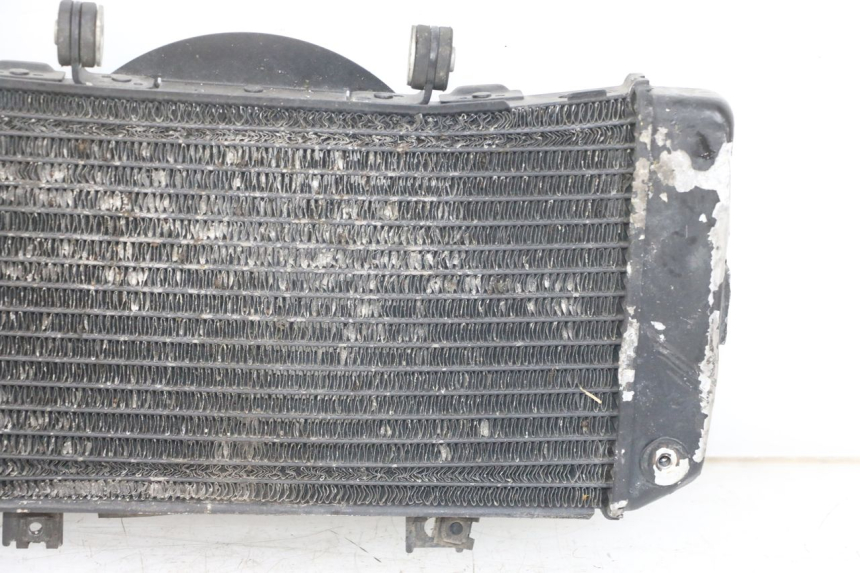 photo de RADIATOR YAMAHA TDM ABS 900 (2002 - 2014)