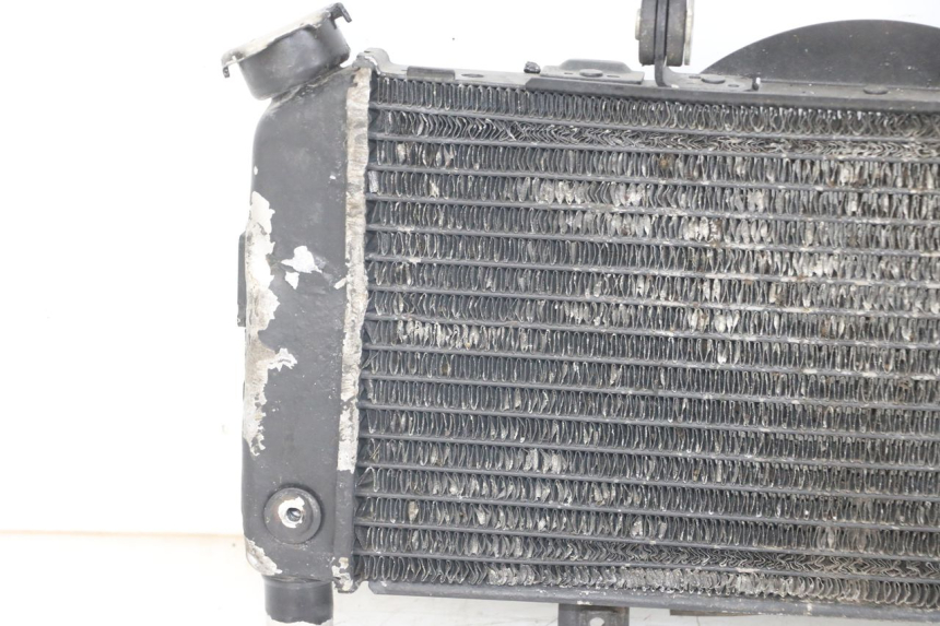 photo de RADIATOR YAMAHA TDM ABS 900 (2002 - 2014)