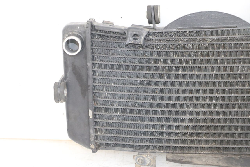 photo de RADIATOR YAMAHA TDM ABS 900 (2002 - 2014)