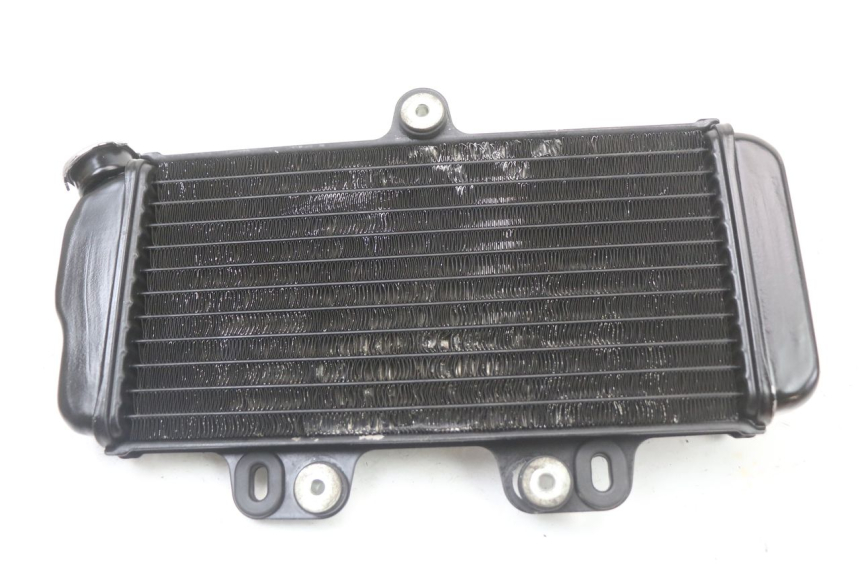 photo de RADIATOR YAMAHA TDR DELTABOX 125 (1993 - 2003)