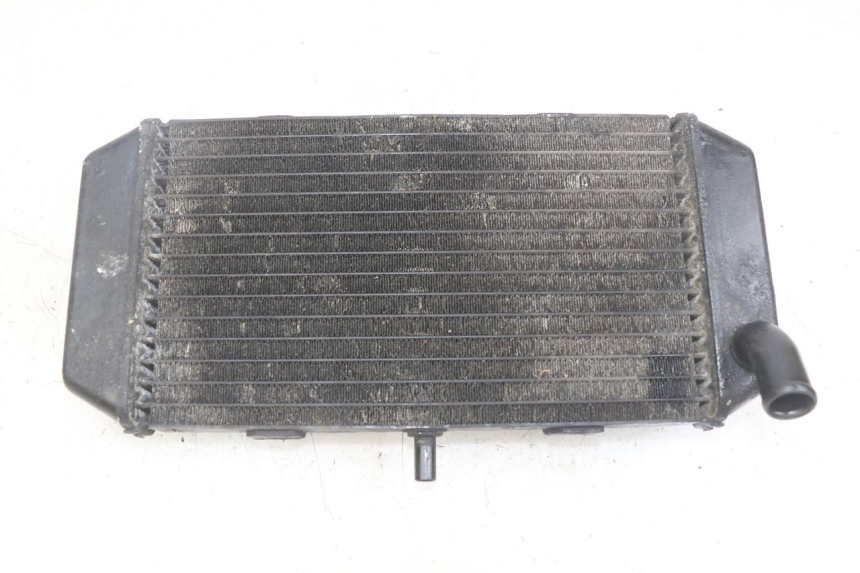 photo de RADIATOR YAMAHA YP MAJESTY 400 (2004 - 2008)