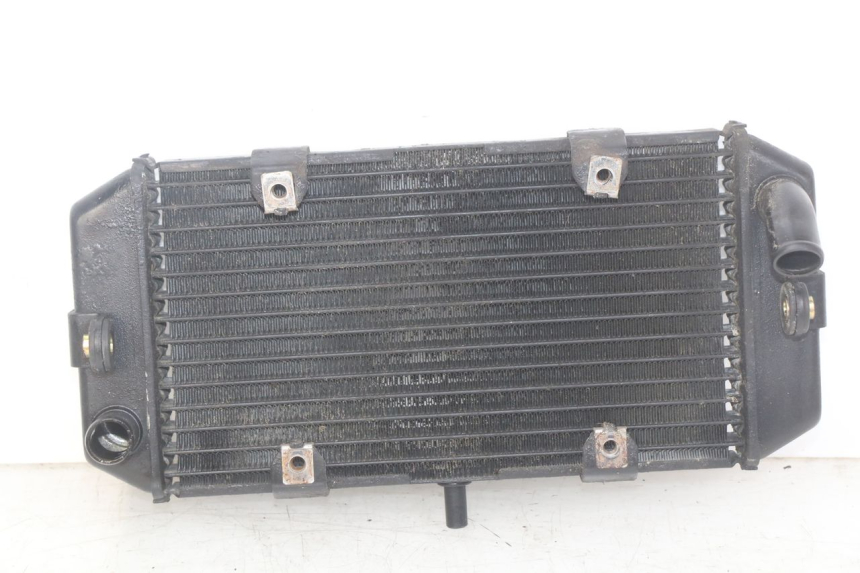 photo de RADIATOR YAMAHA YP MAJESTY 400 (2004 - 2008)