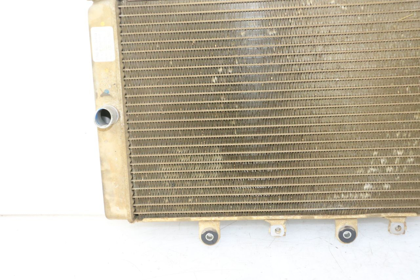 photo de COOLANT RADIATOR YAMAHA YFM GRIZZLY 550 (2008 - 2015)