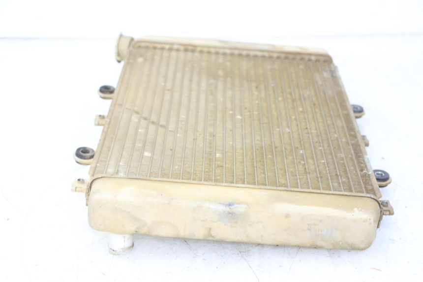 photo de COOLANT RADIATOR YAMAHA YFM GRIZZLY 550 (2008 - 2015)