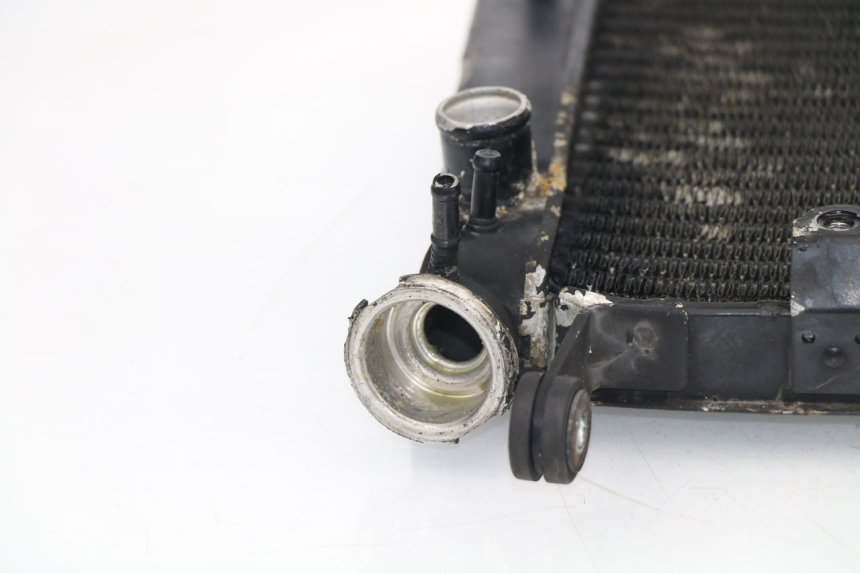 photo de COOLANT RADIATOR YAMAHA YZF R THUNDERCAT 600 (1999 - 2003)