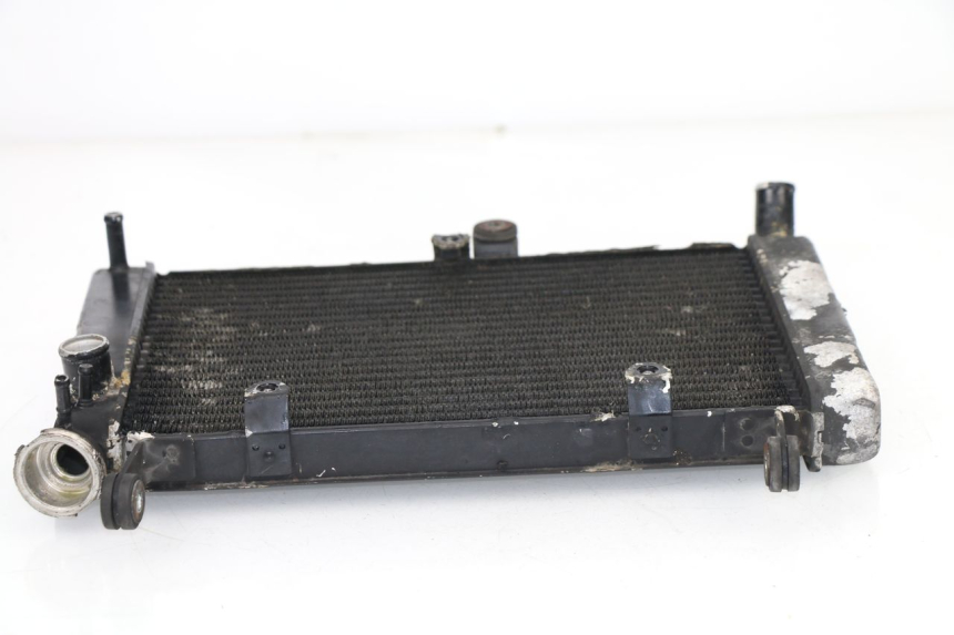 photo de COOLANT RADIATOR YAMAHA YZF R THUNDERCAT 600 (1999 - 2003)