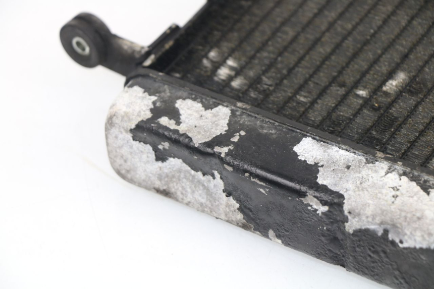 photo de COOLANT RADIATOR YAMAHA YZF R THUNDERCAT 600 (1999 - 2003)