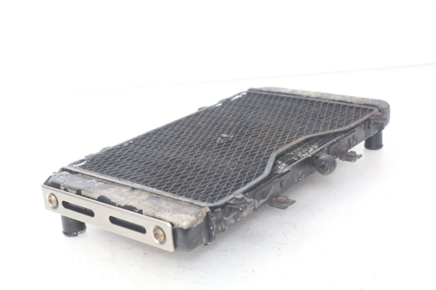 photo de RADIATOR KAWASAKI Z S 750 (2003 - 2006)