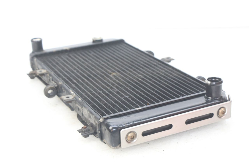 photo de RADIATOR KAWASAKI Z S 750 (2003 - 2006)