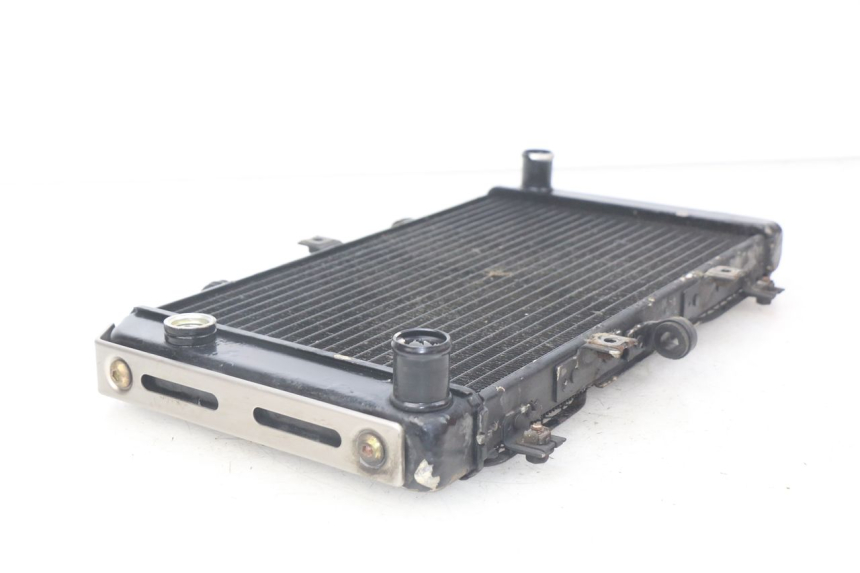 photo de RADIATOR KAWASAKI Z S 750 (2003 - 2006)