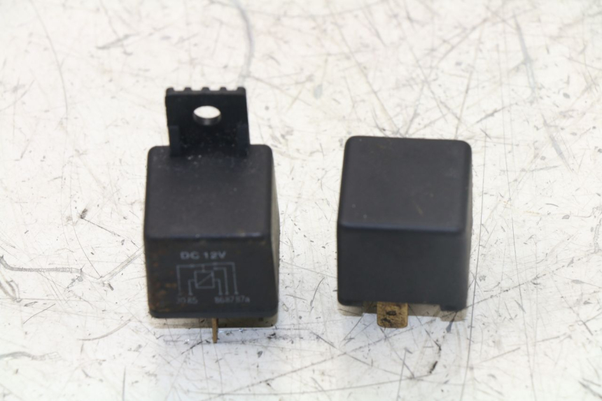 photo de RELAY TRIUMPH TIGER 955 (2001 - 2004)
