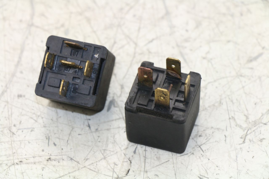 photo de RELAY TRIUMPH TIGER 955 (2001 - 2004)