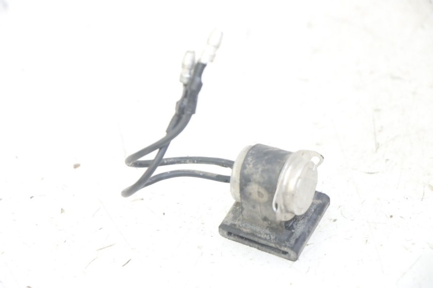 photo de RELAY YAMAHA XJN DIVERSION 600 (2000 - 2003)