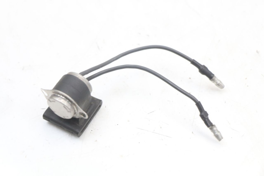 photo de RELAY YAMAHA XJS DIVERSION 600 (1997 - 1999)