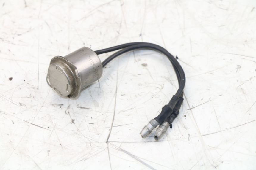 photo de RELAY YAMAHA XJS DIVERSION 600 (1997 - 1999)