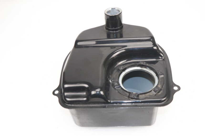 photo de FUEL TANK JM MOTORS VIPER 4T 50 (2015 - 2022)