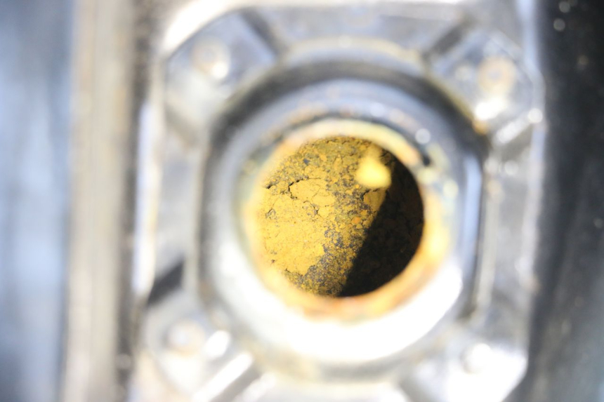 photo de FUEL TANK DAELIM VL DAYSTAR 125 (2000 - 2011)
