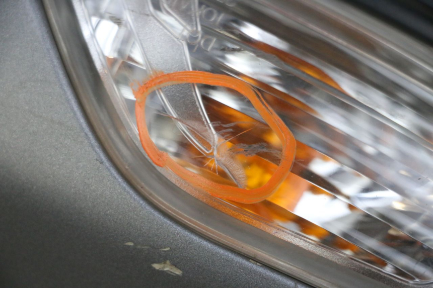 photo de RIGHT MIRROR SUZUKI BURGMAN 650 (2013 - 2020)