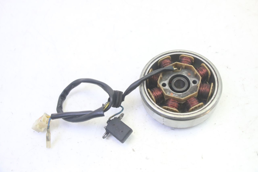 photo de ROTOR STATOR LONGJIA DIGITA 4T 50 (2019 - 2022) - Alternative perspective