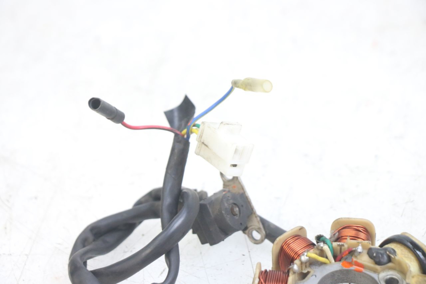 photo de ROTOR STATOR JM MOTORS EVOLIS 4T 50 (2018 - 2022)