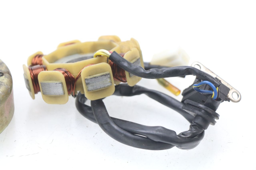 photo de ROTOR STATOR JM MOTORS SUNNY 50 (2017 - 2020)